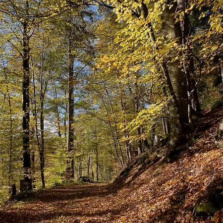 Appartamento Haus Zur Bienenweide Schömberg Esterno foto