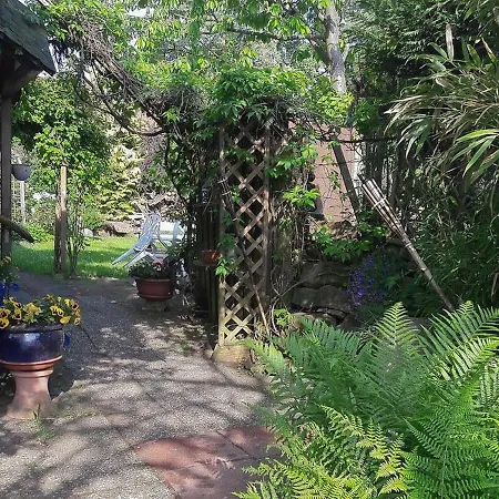 Appartamento Haus Zur Bienenweide Schömberg Esterno foto