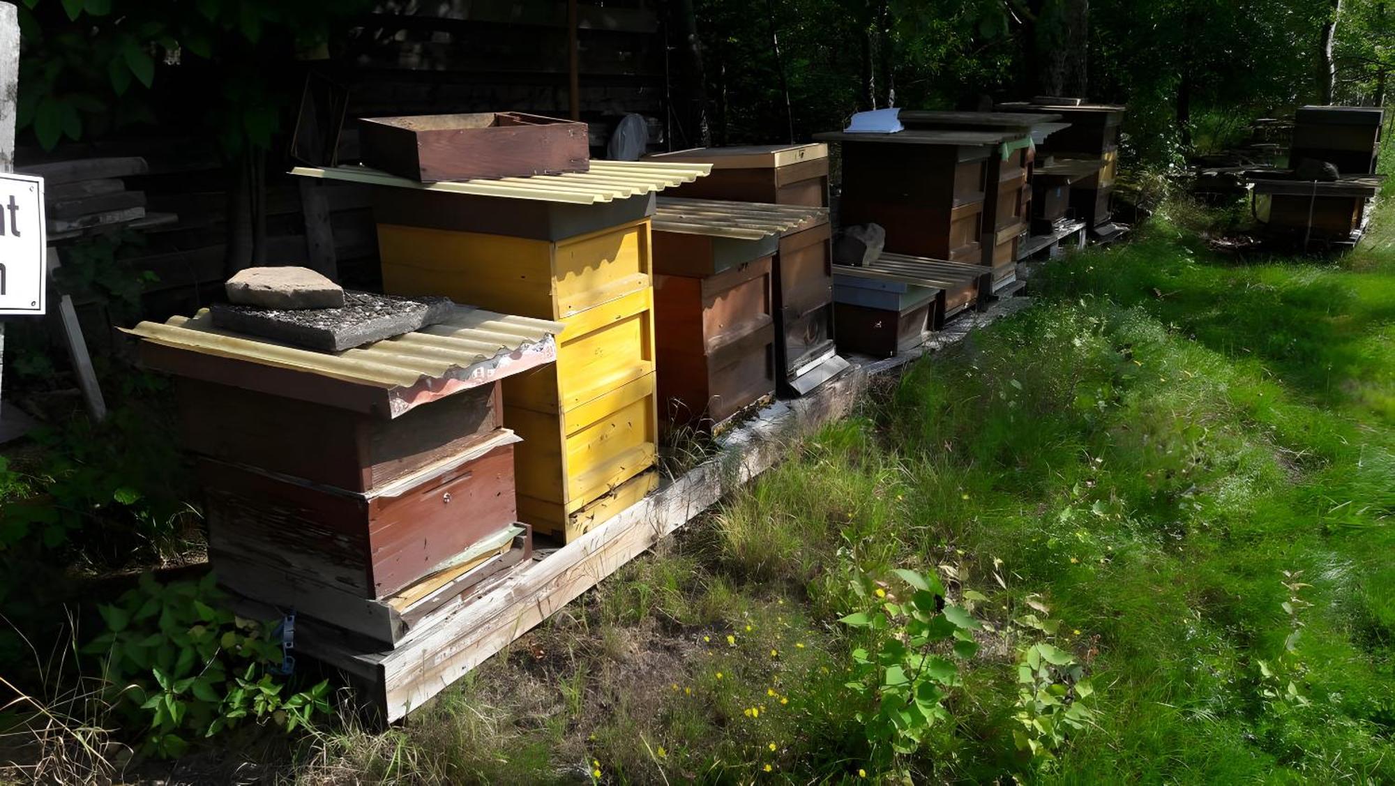 Haus Zur Bienenweide Schömberg